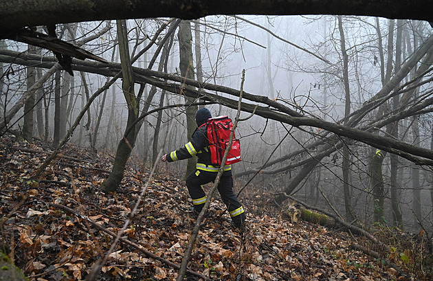 Pátrání po chlapci na Zlínsku je zatím stále neúspěšné, z lesa se policisté stáhli