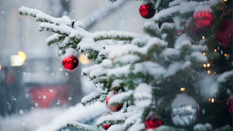 Vánoce na sněhu: MAPA ukazuje, kde napadne nejvíc. Teploty spadnou, udeří i silný vítr