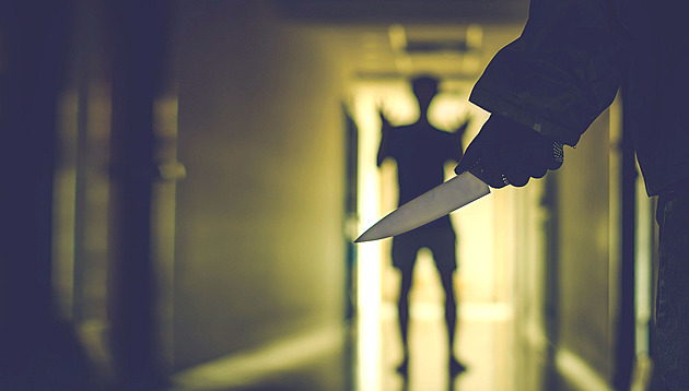 Běsnění v Surinamu. Muž ubodal devět lidí, z toho čtyři vlastní děti