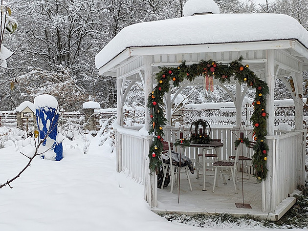 Dvě české soukromé přírodní zahrady nadchly Evropu. A můžete je navštívit
