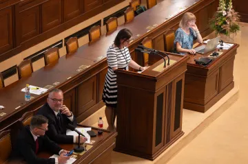 Rozpočtová pravidla jsou nepříjemná, proto mají smysl, říká Sedmihradská
